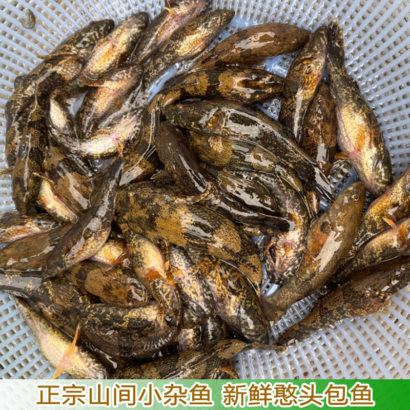 农村小土鱼新鲜憨头包鱼童年的味道土小石斑鱼淡水小河鱼,水产肉类/新鲜蔬果/熟食,斑鱼,淘宝优惠券,粉丝福利购,淘宝优惠卷