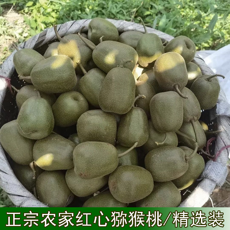 红心猕猴桃奇异果弥核桃