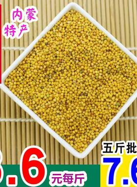 食用黄芥末籽黄芥末子今年新货纯正250g500克包邮品可现磨芥末粉