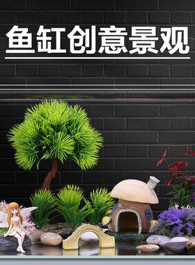 鱼缸造景套餐入缸成景
