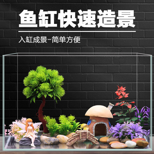 鱼缸造景套餐入缸成景