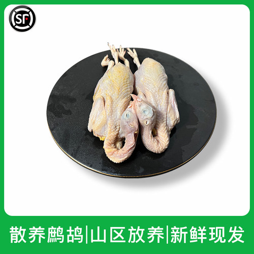 散养老鹧鸪新鲜生肉制品