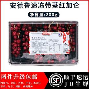 饰 冻水果饮品蛋糕烘焙装 波兰进口 速冻带茎红加仑200g单盒