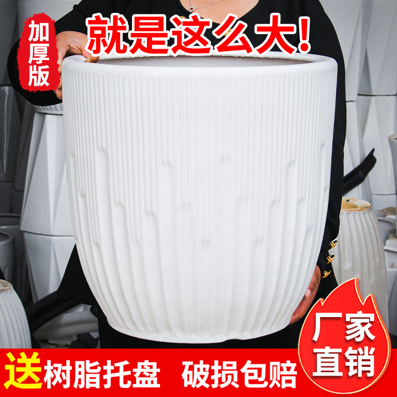 陶瓷大花盆白色简约大号家用客厅落地兰花虎皮兰天堂鸟绿植种树盆