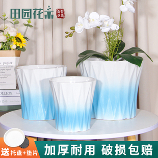 现代简约陶瓷小花盆家用高级感大口径装饰公司室内客厅高颜值落地
