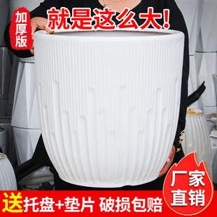 陶瓷大花盆白色简约大号家用客厅落地兰花虎皮兰天堂鸟绿植种树盆