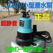 静音220V小型潜水泵 排污泵家用大流量农田灌溉抽水浇花浇菜水泵
