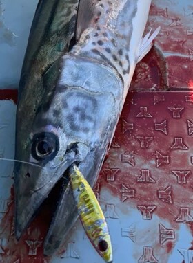 热销shout铁板带亮片钩铁板抽技铁板鲅鱼铁板马鲛铁板亮片钩铁板