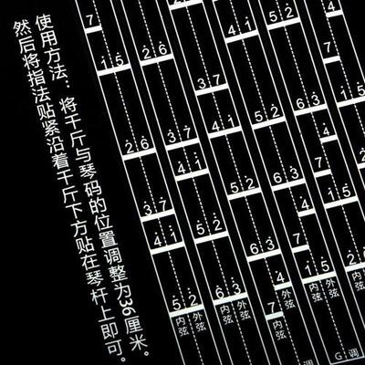 网红初学二胡音准指法贴 音阶对照表 指法把位图音位表  二胡乐器