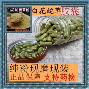 白花蛇草胶囊中药材 白花蛇舌草粉 舌草粉 蛇舌草粉克正品保证