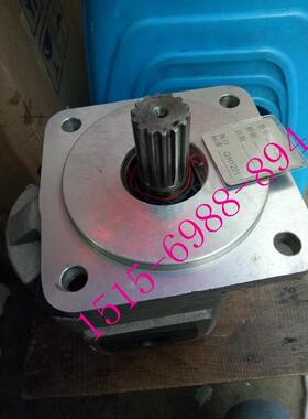 合肥赛源CBG2063-BFXCBG2100-BFH液压齿轮泵CBG-2080-BFP BLH BLP