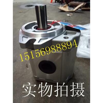 合肥赛源CBT-F419.2齿轮泵CBT-F419.2-ALPL AFPL ALHAFΦ液压油泵