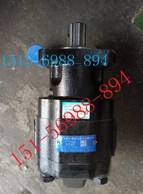 合肥长源液压齿轮油泵CBGTC2100-BLHL 齿轮油泵CBGTC2100-BLH原装