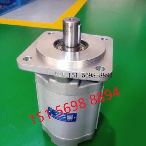 SY赛源液压齿轮泵CBG2080-BFP BFH BFX BLP BLH合肥赛源液压油泵
