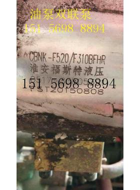淮安福斯特液压CBNK-F532/F316BFHR BFHL BFPR 液压双联齿轮油泵