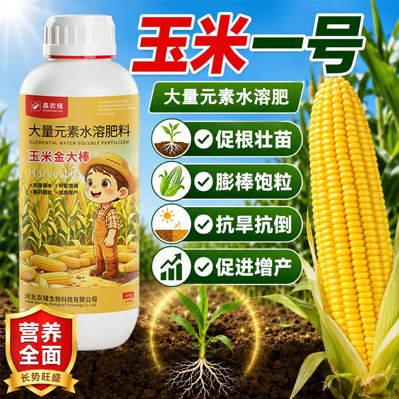 玉米一号金大棒正品促根壮苗