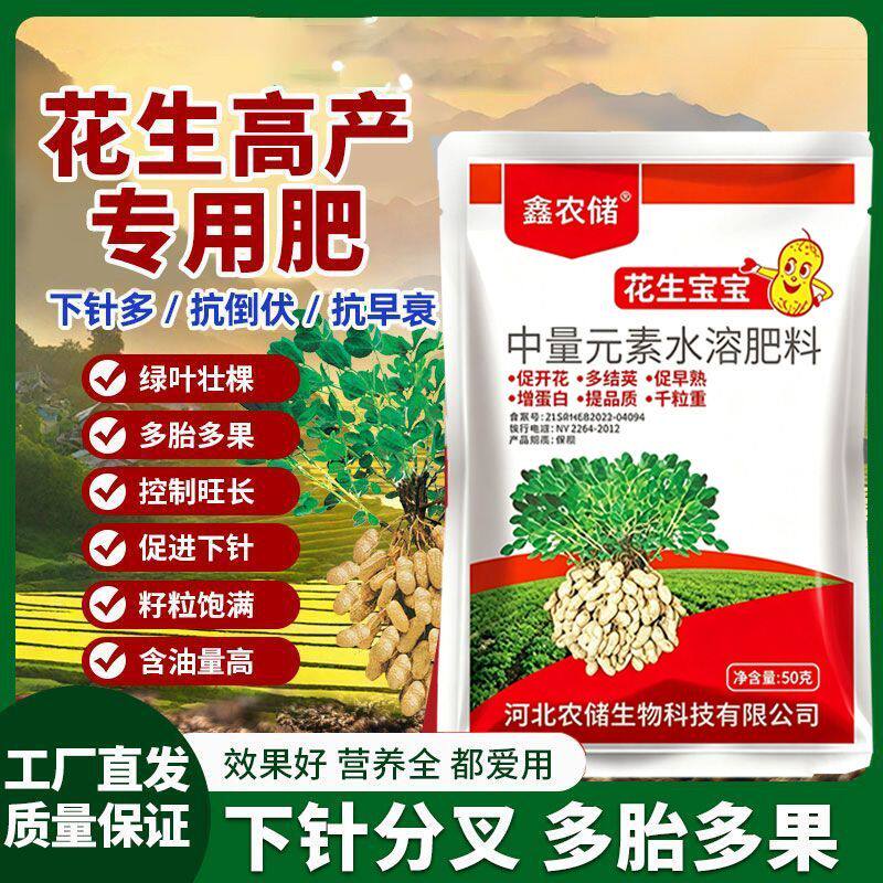 花生宝宝下针控上促下饱满壮棵