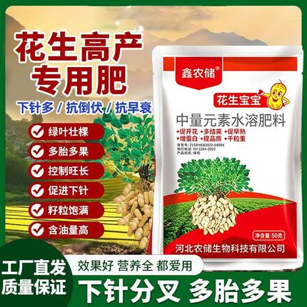 花生宝宝粒粒饱满绿叶壮棵颗粒饱满提高产量多肽加强正品大果
