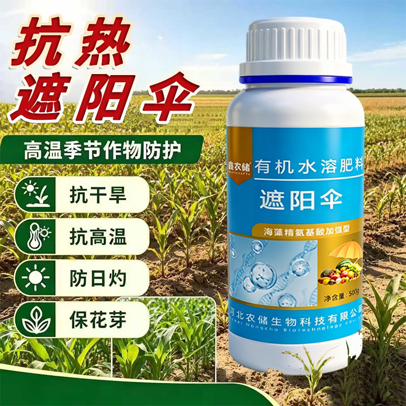 遮阳伞果树柑橘辣椒葡萄日灼