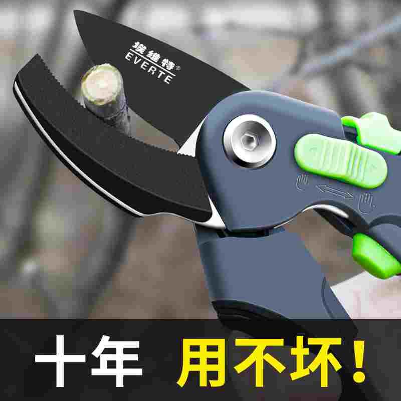 剪树枝专用剪刀修枝剪果树修枝修剪树枝园艺剪刀花艺剪枝花剪园林图片