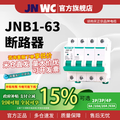 JNWC江南空气开关JNB1-63a家用空开2p小型断路器1P空调总闸 DZ47