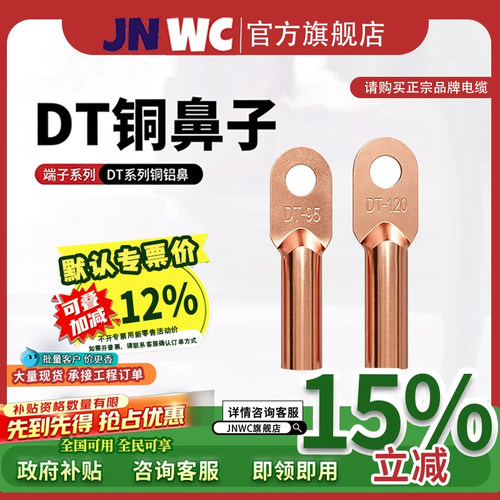 JNWC国标铜鼻子DT/2.5/4/6/10/16/35/50/70/95/120平方接线端子