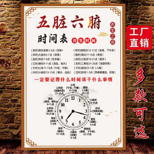 五脏六腑头疗肩颈装饰海报挂图