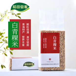 新青海白青稞米白青稞粒麦仁五谷杂粮粥粗粮饭石磨青稞真空装