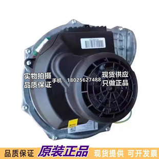 3633 010303 108 全新德国燃气鼓风机 120V 1200 115 300W RG148
