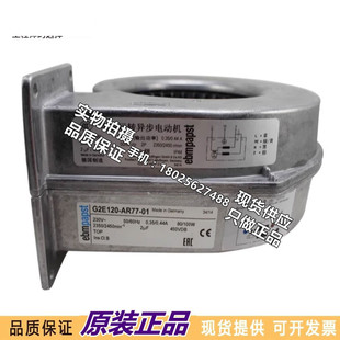 230V鼓风机 AR77 进口全新 G2E120