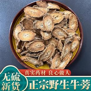 野生牛蒡根500g 牛蒡茶新鲜纯然无硫纯牛蒡根片 特级中药材正品 包邮