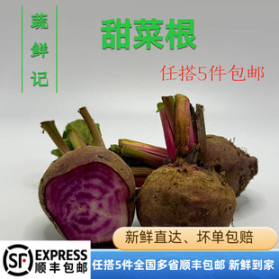 新鲜甜菜头750g甜根菜紫菜头红菜头大头菜西餐食材榨汁酵素摆盘