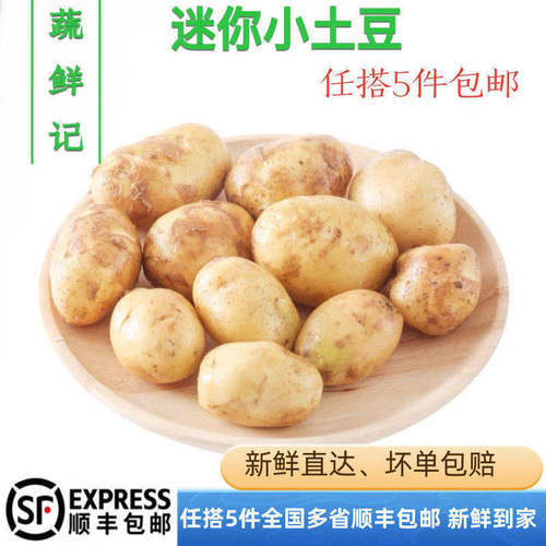【蔬鲜记】迷你小土豆500g农家黄心土豆新鲜蔬菜马铃薯小洋山芋