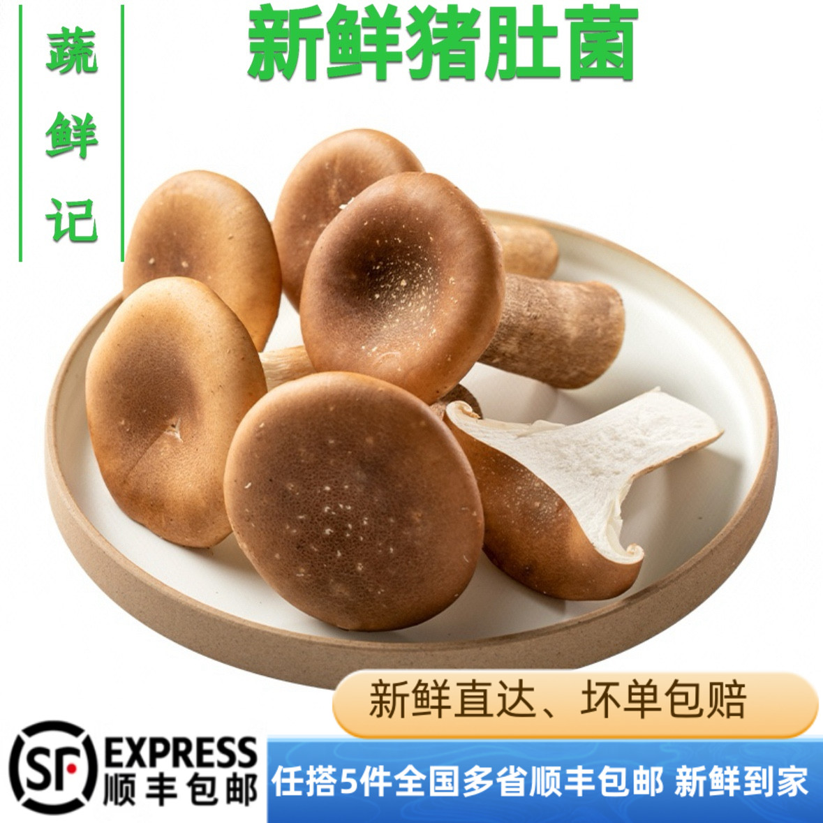 新鲜食用菌菇猪肚菇 大伞菌 漏斗菇喇叭菇250g 炖汤猪肚口感嫩滑