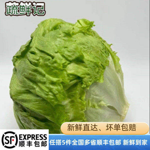 球生菜5斤汉堡圆生菜新鲜蔬菜西餐轻食沙拉色拉配菜顺丰包邮
