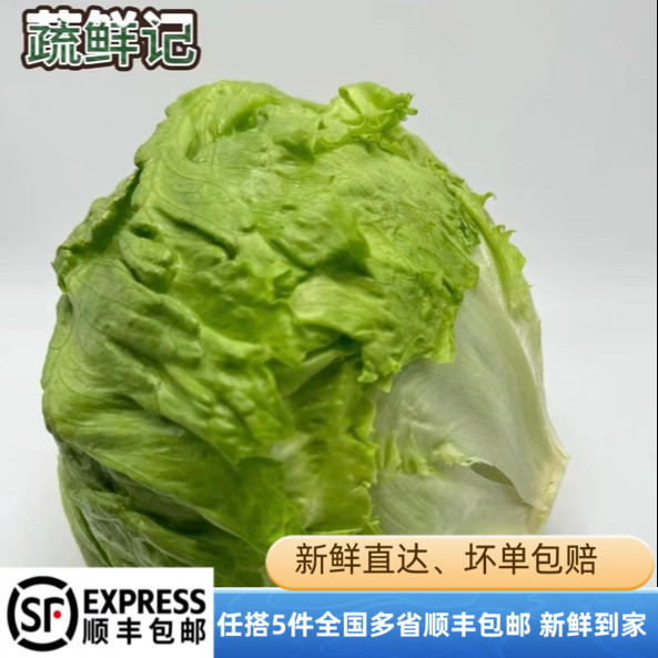球生菜5斤汉堡圆生菜新鲜蔬菜西餐轻食沙拉色拉配菜顺丰包邮