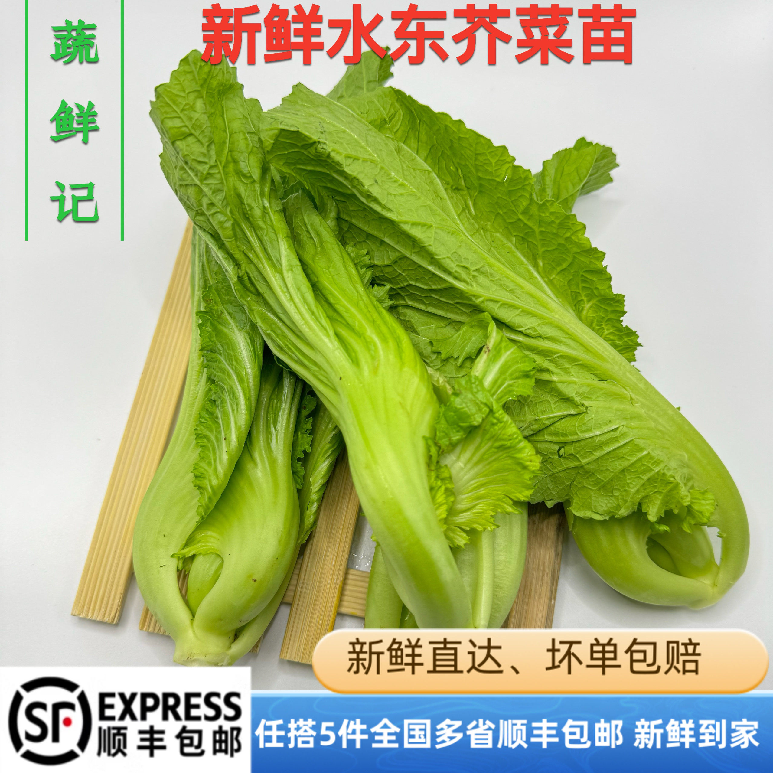 新鲜蔬菜广东水东芥菜苗盖菜包心芥菜酸菜鱼做泡菜320g五件包邮,水产肉类/新鲜蔬果/熟食,蔬菜沙拉,淘宝优惠券,粉丝福利购,淘宝优惠卷