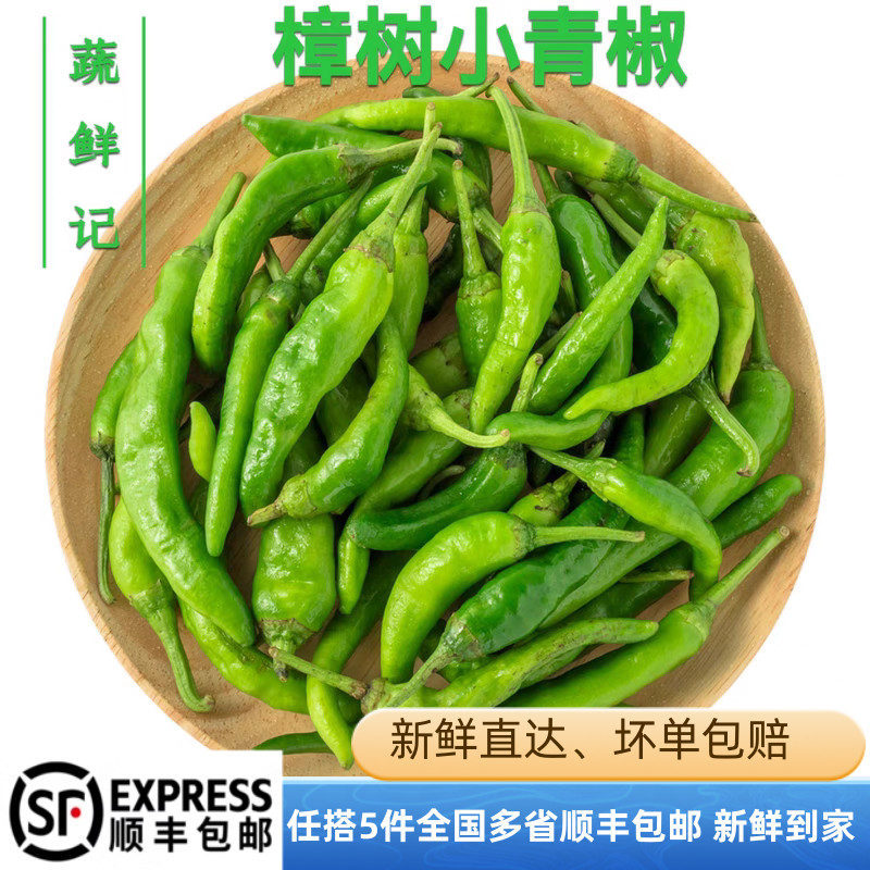 新鲜樟树港辣椒青椒香软适口中辣菜椒炒肉家常湖南特色蔬菜顺丰邮