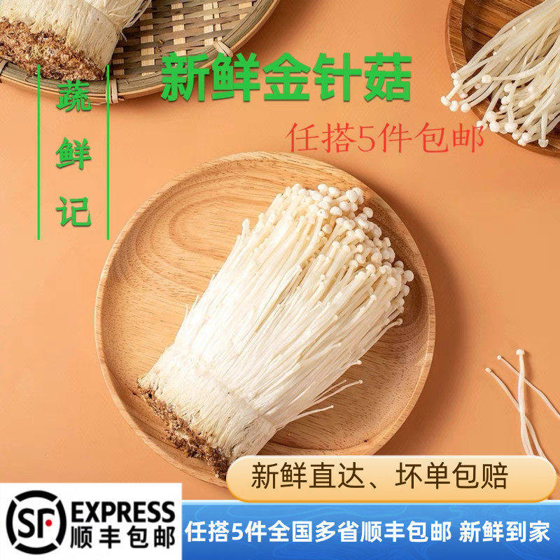 新鲜金针菇250g 时鲜菌类 凉拌烧烤蔬菜火锅素菜配菜麻辣烫食材