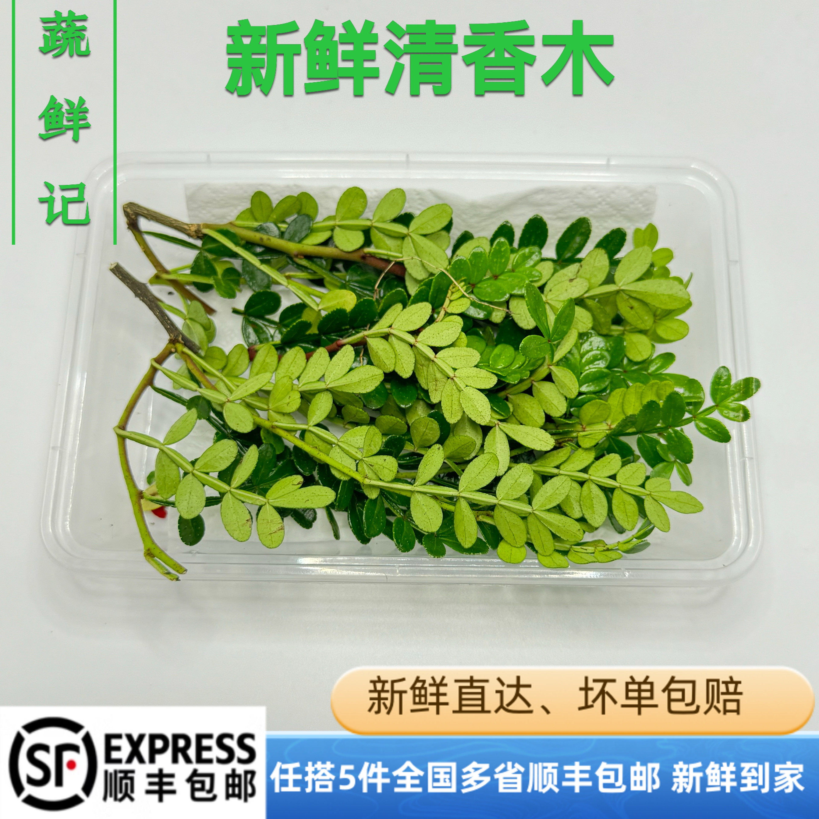 清香木新鲜胡椒木西餐酒楼摆盘装饰花草甜品蛋糕饮品点缀1盒50片,水产肉类/新鲜蔬果/熟食,蔬菜沙拉,淘宝优惠券,粉丝福利购,淘宝优惠卷