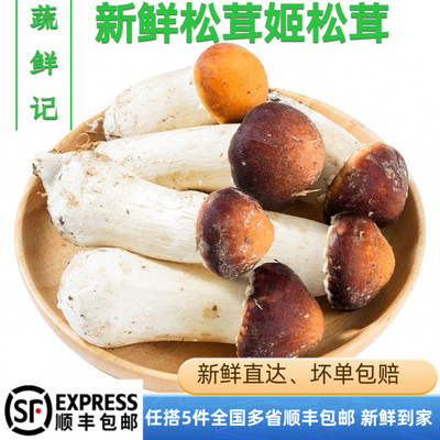蔬鲜记  新鲜菌菇新鲜松茸姬松茸500g巴西菇产地自种食用500g
