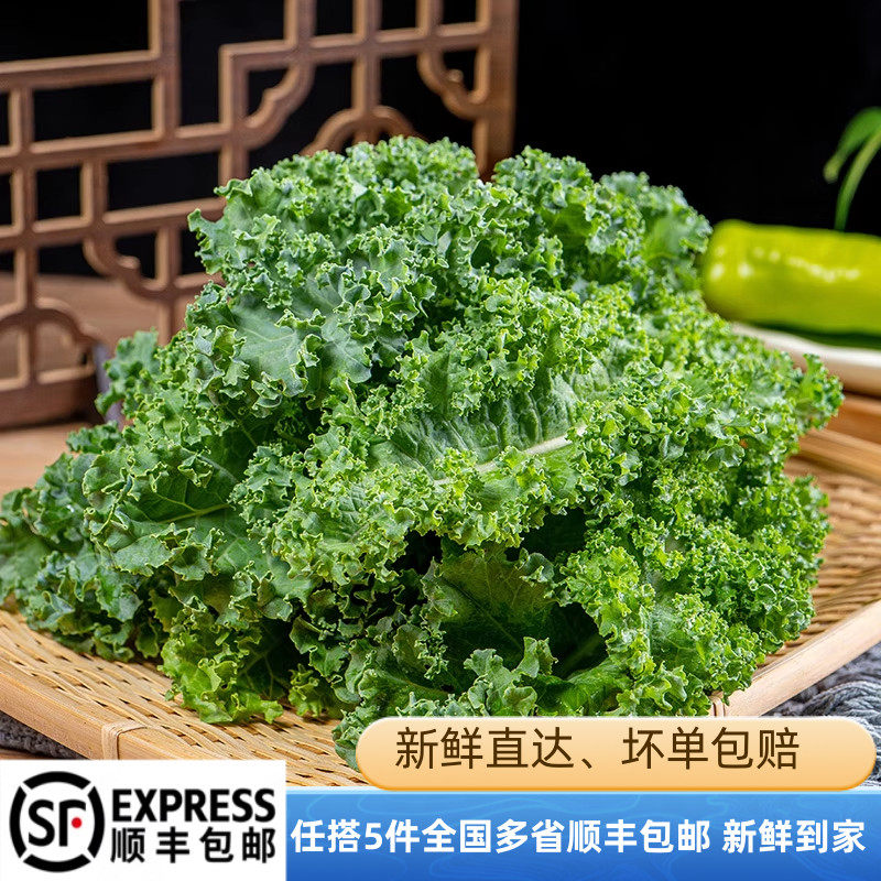 新鲜羽衣甘蓝嫩叶蔬菜甘兰kale健身榨汁西餐食材蔬菜沙拉甘蓝叶,水产肉类/新鲜蔬果/熟食,蔬菜沙拉,淘宝优惠券,粉丝福利购,淘宝优惠卷