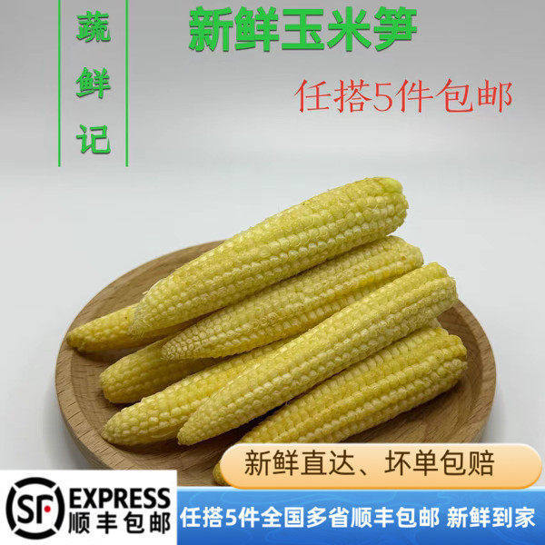 水果甜玉米笋迷你小玉米芯仔新鲜小玉米棒玉米嫩玉米棒满五包邮图片