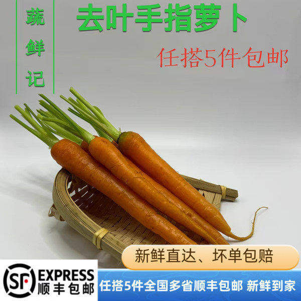 有叶手指胡萝卜 迷你小萝卜新鲜蔬菜迷你水果小胡萝卜沙拉食材