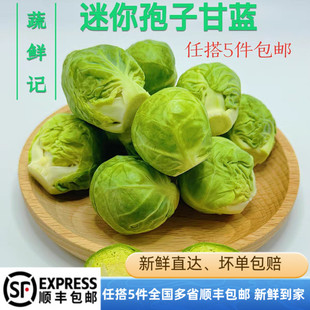 新鲜孢子甘蓝抱子甘蓝迷你小包菜椰菜仔小卷心菜西餐沙拉食材蔬菜