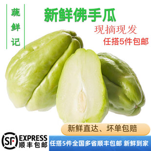 新鲜佛手瓜500克【任搭5份包邮】新鲜蔬菜 合掌 洋瓜 寿瓜 洋丝瓜