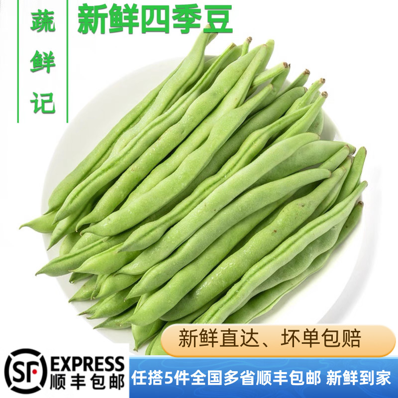 新鲜四季豆新鲜应季农家蔬菜时令豌豆毛豆荷兰豆甜豆芸豆