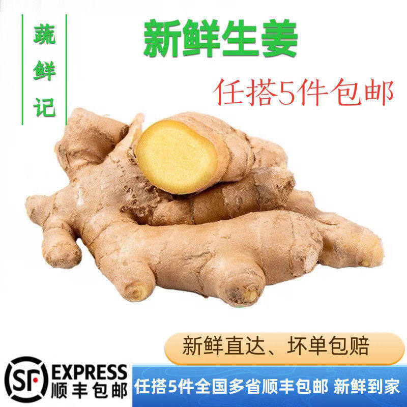 生姜500g 新鲜蔬菜调味料大黄姜老姜干姜块月子姜 5件包邮