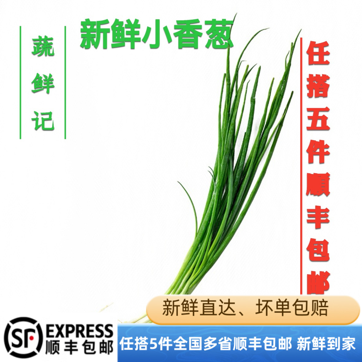 【蔬鲜记】新鲜香葱250g 小葱 细葱 香料 时鲜蔬菜
