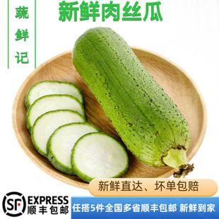 【蔬鲜记】新鲜丝瓜新鲜短棒肉丝绿丝瓜圆丝瓜棒丝瓜